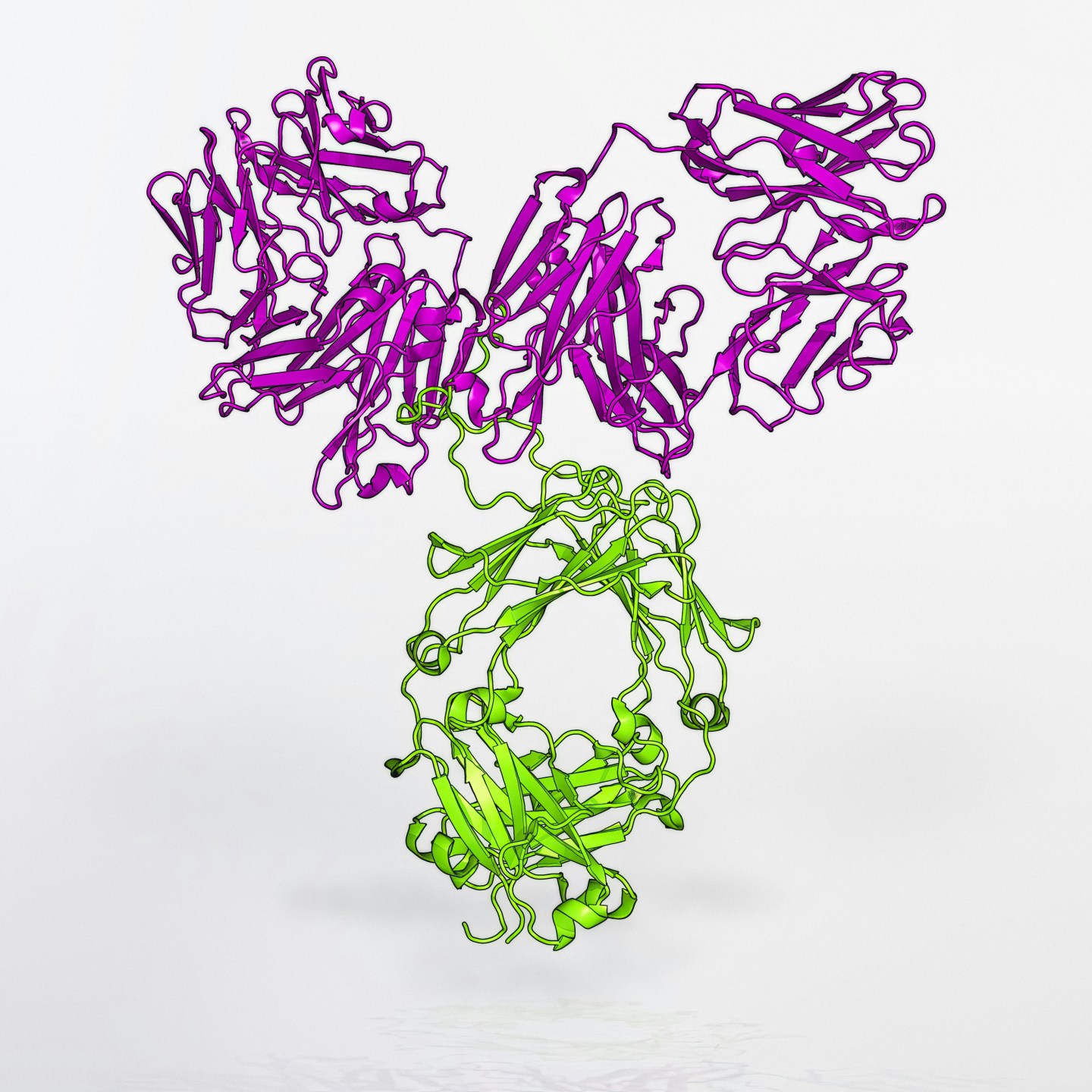 Can Diet and Lifestyle Improve Allergic Rhinitis? A Look at the Evidence